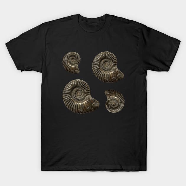 Fossil Ammonite T-Shirt by Diggertees4u